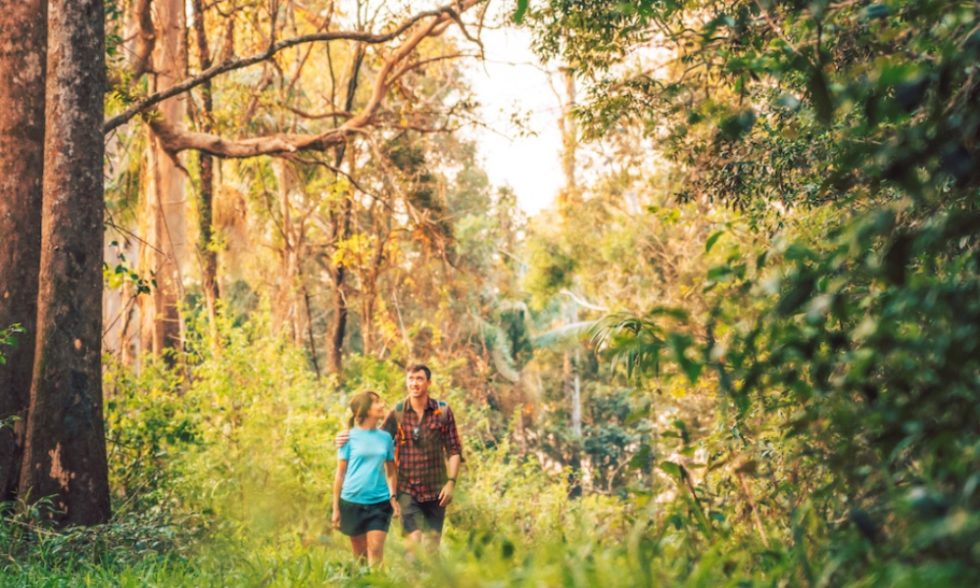 Noosa Trail Network | Emerald Noosa